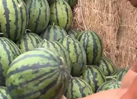 吃瓜系,吃瓜群众眼中的明星生活