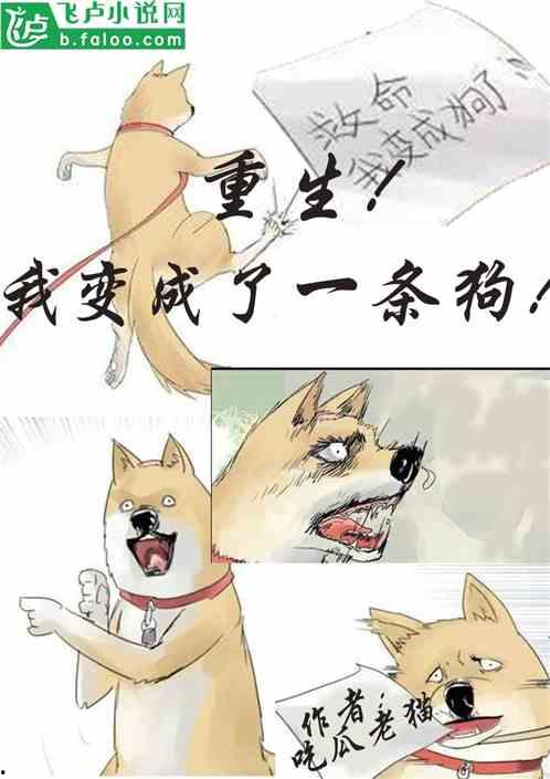 吃瓜认亲小说在线阅读,一场吃瓜引发的认亲大戏