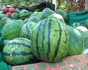 选瓜怎么吃,不同瓜类美味吃法全攻略