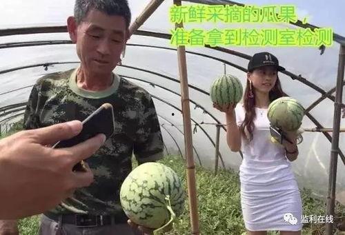 吃瓜直播间吃瓜,一场全民参与的吃瓜盛宴