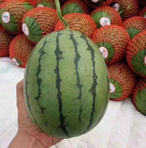 美困吃瓜,揭秘娱乐圈背后的那些事儿