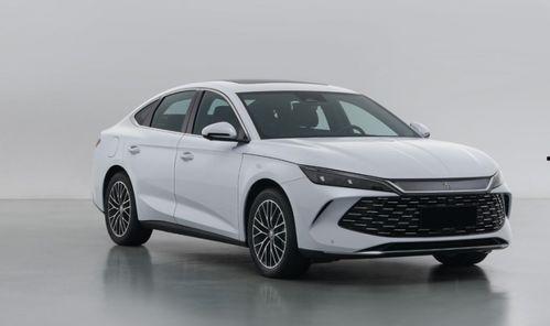 吃瓜的比亚迪,吃瓜群众的汽车盛宴