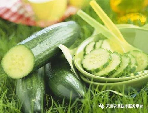 吃付瓜易得癌,警惕日常饮食中的健康隐患