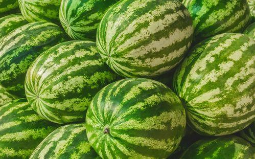 吃瓜哪里最多,吃瓜群众聚集地，哪个城市最盛产“瓜农”？