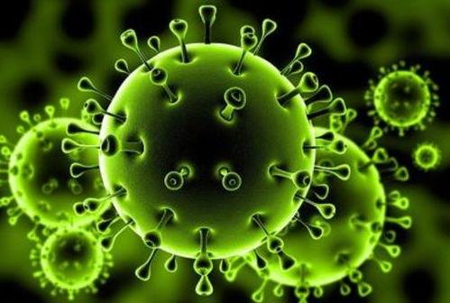 朊病毒警告 吃瓜,吃瓜需谨慎，健康生活从自我防护开始