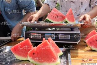 聊城最新吃瓜事件视频,视频揭秘惊人真相！