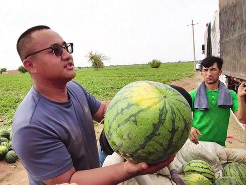 吃瓜群4676456,一场全民参与的娱乐盛宴