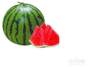 南阳红星吃瓜事件,一场网络热议背后的真相揭秘