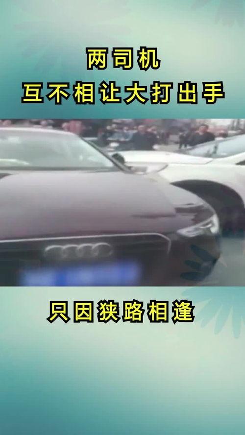 吃瓜群众不买车