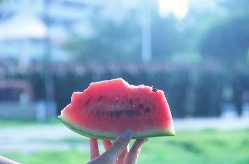 吃瓜安静,揭秘娱乐圈背后的宁静岁月