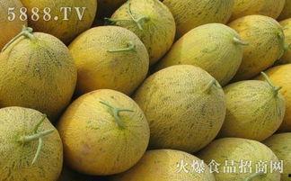 哈密瓜月子可以吃,哈密瓜的营养美味与适宜食用指南